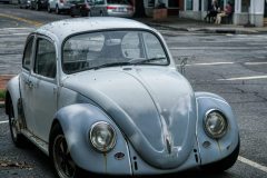 Old-Beetle-scaled