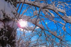 Snow-Storm-scaled