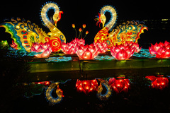 Chinese-Lantern-2