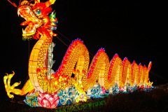 Chinese-Lantern-3