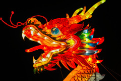 Chinese-Lantern-4