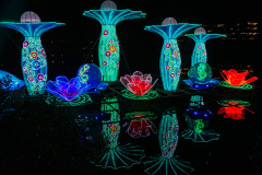Chinese-Lantern-8