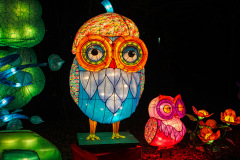 Chinese-Lantern-9