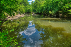 Cole-Mill-Trail-18