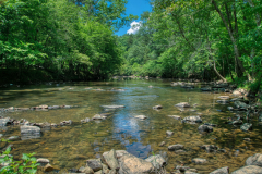 Cole-Mill-Trail-23