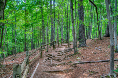 Cox-Mountain-Trail-1