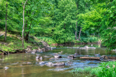 Cox-Mountain-Trail-5