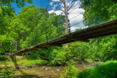 Cox-Mountain-Trail-6