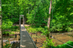 Cox-Mountain-Trail-9