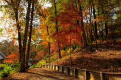 Lake-Lure-Fall