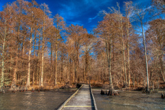 Lake-Phelps-19