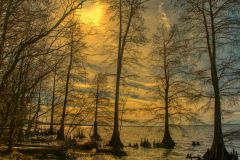 Lake-Phelps-23