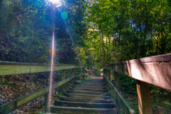 Mingo-Falls-2