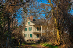 Pettigrew-State-Park-6