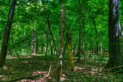 West-Point-Eno-Park-10