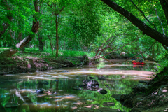 West-Point-Eno-Park-9