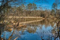 Yates-Mill-Bridge-Reflection