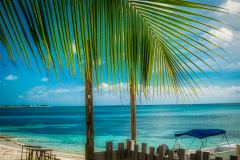 Carribean