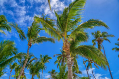 Punta-Cana-1