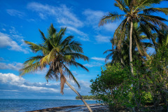 Punta-Cana-Palm-Beach