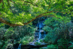 Tom-Branch-Falls-9