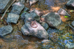 West-Point-Eno-Park-3